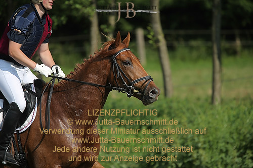 Preview 13-Mail_01-JB_41599.jpg