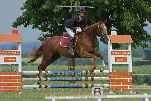 Preview 13-Mail_12-JB_14779.jpg