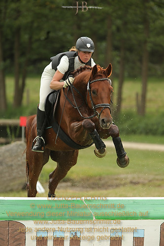 Preview 13-Mail_12-JB_41283.jpg