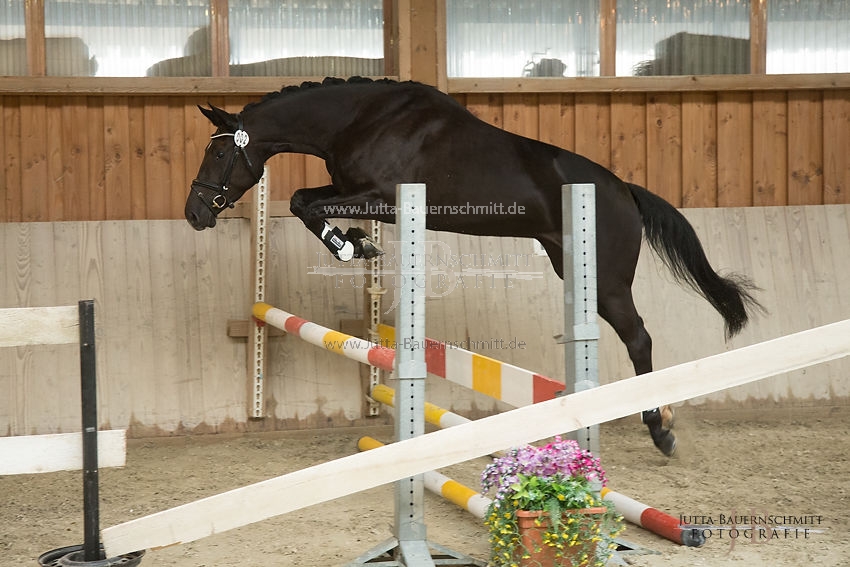 Preview 17-SLP-DarkRose_JB_83024.JPG