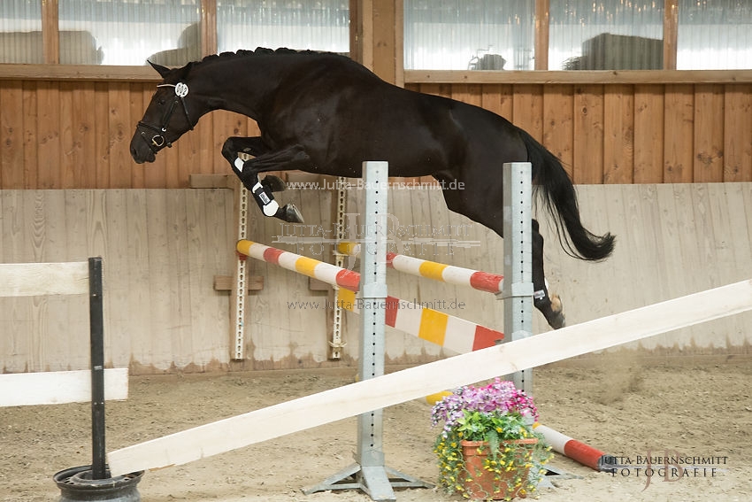 Preview 17-SLP-DarkRose_JB_83026.JPG