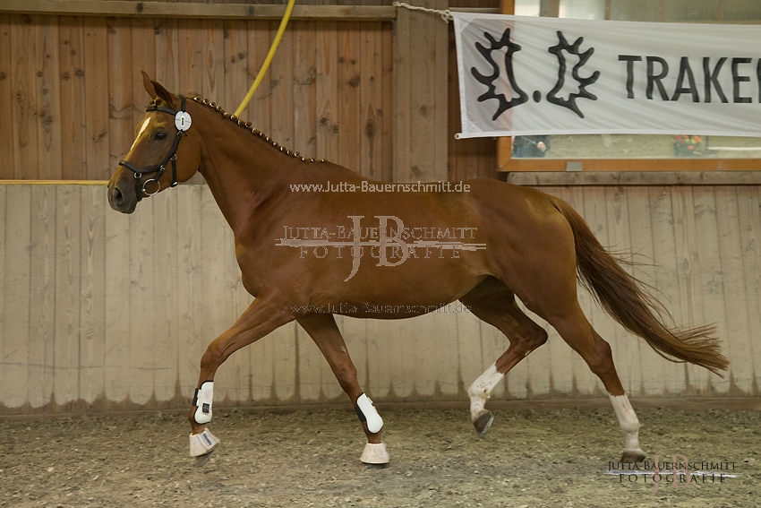 Preview 17-SLP-DonnaRubinia_JB_82995.JPG