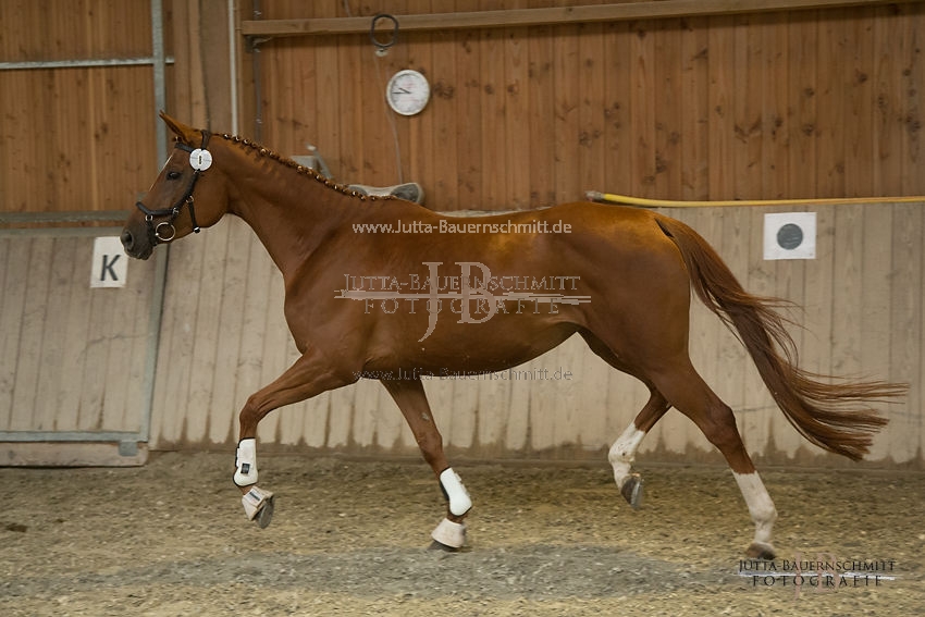 Preview 17-SLP-DonnaRubinia_JB_82996.JPG