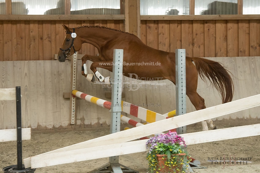 Preview 17-SLP-DonnaRubinia_JB_82997.JPG