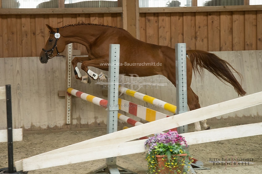 Preview 17-SLP-DonnaRubinia_JB_82998.JPG