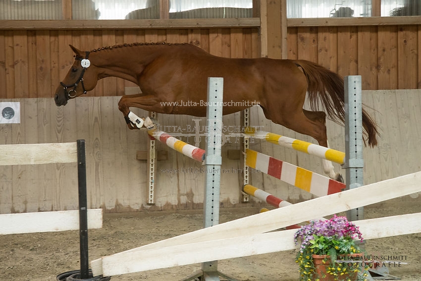 Preview 17-SLP-DonnaRubinia_JB_83001.JPG