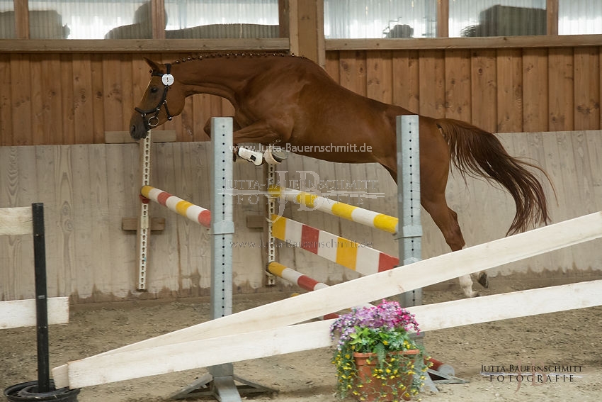 Preview 17-SLP-DonnaRubinia_JB_83002.JPG