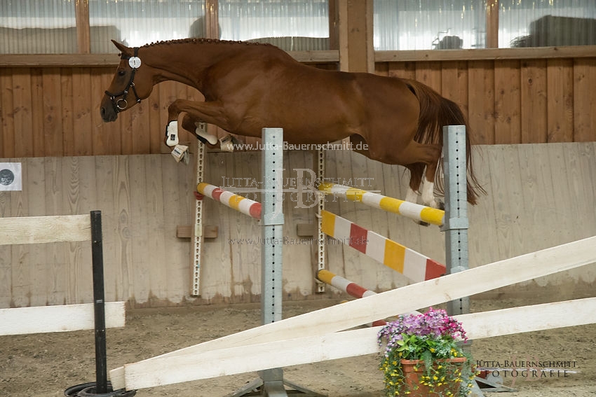 Preview 17-SLP-DonnaRubinia_JB_83005.JPG