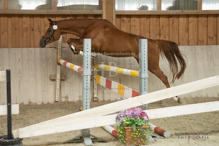 Preview 17-SLP-DonnaRubinia_JB_83010.JPG