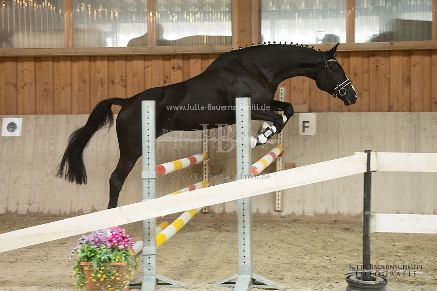 Preview 17-SLP-HadiyaPur_JB_83015.JPG