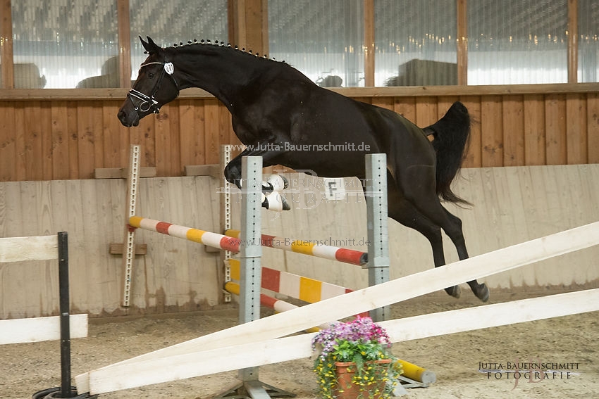 Preview 17-SLP-Kalamaika_JB_82866.JPG