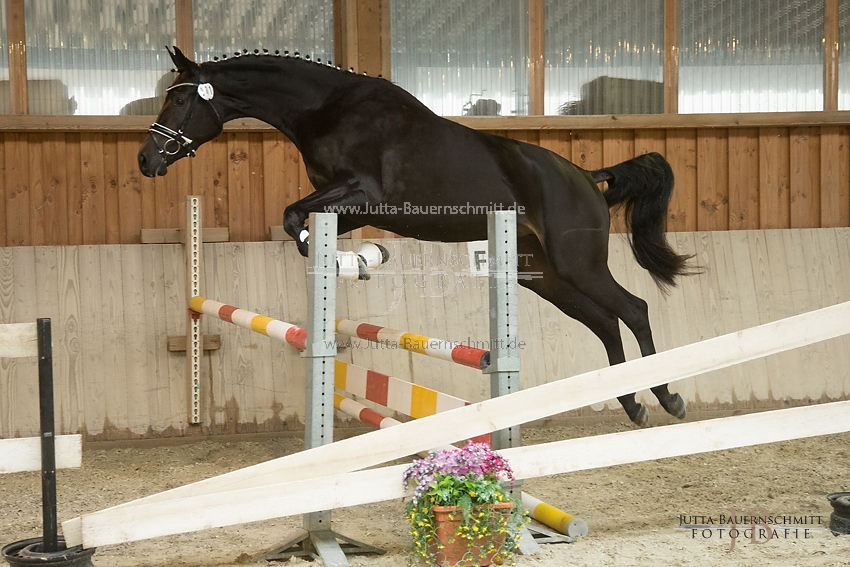 Preview 17-SLP-Kalamaika_JB_82869.JPG