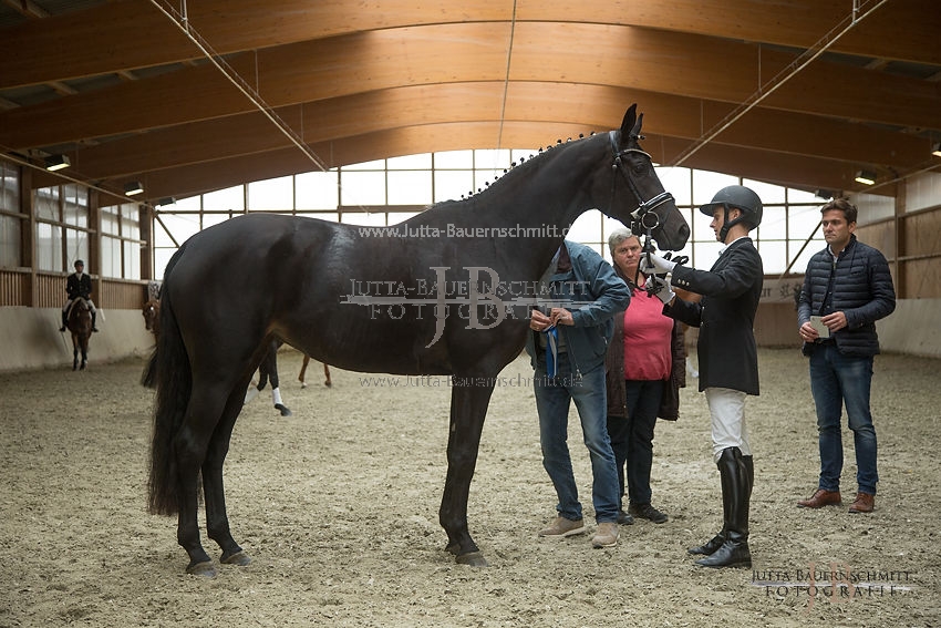 Preview 17-SLP-Kalamaika_JB_83185.JPG