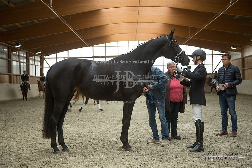 Preview 17-SLP-Kalamaika_JB_83186.JPG