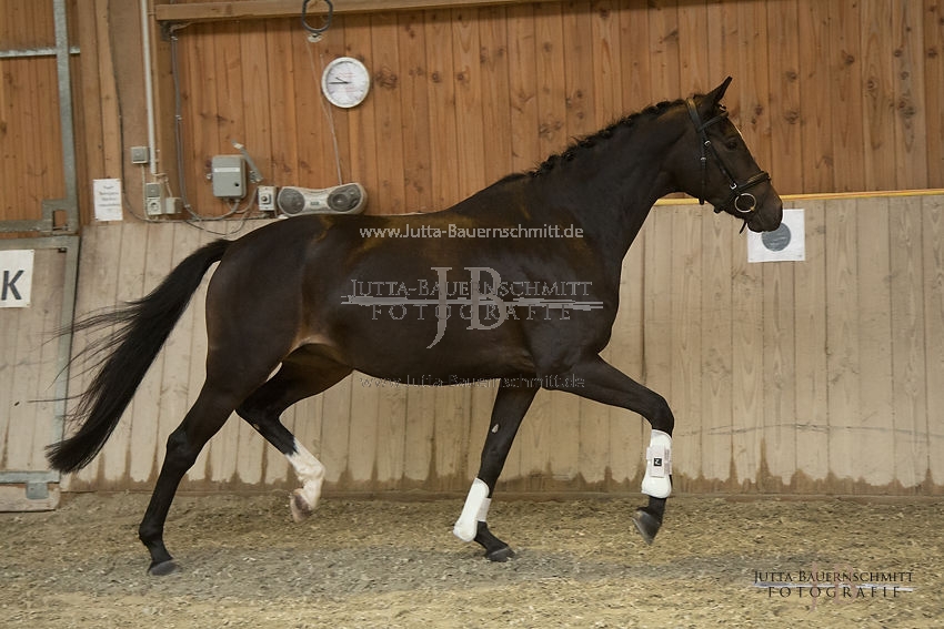 Preview 17-SLP-Luxusperle_JB_82943.JPG