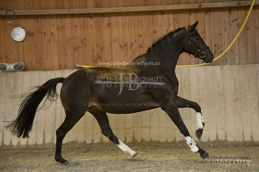 Preview 17-SLP-Luxusperle_JB_82946.JPG