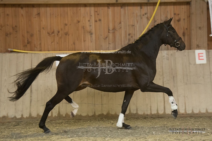 Preview 17-SLP-Luxusperle_JB_82949.JPG