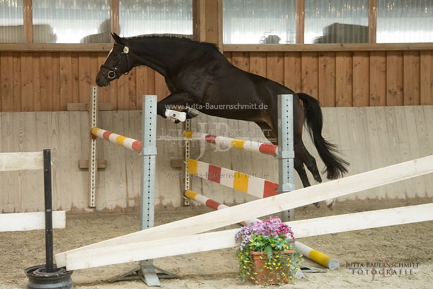 Preview 17-SLP-Luxusperle_JB_82958.JPG