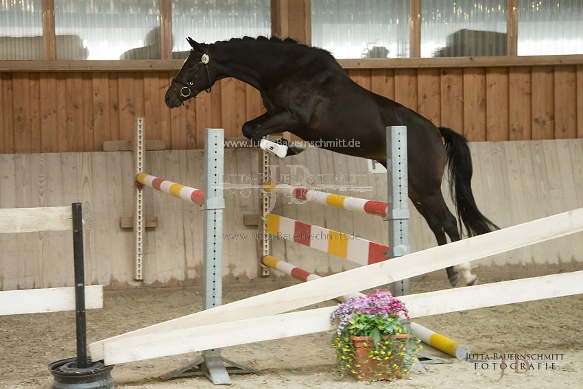 Preview 17-SLP-Luxusperle_JB_82960.JPG