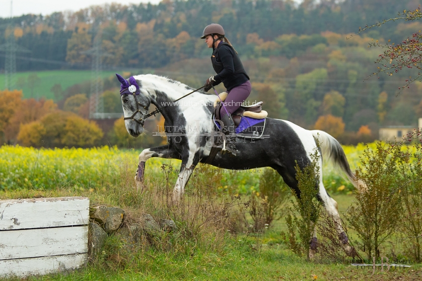 Preview 18-VSSued-ColouredSaturdayR_JB_07483.jpg