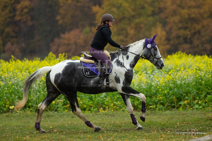 Preview 18-VSSued-ColouredSaturdayR_JB_07505.jpg