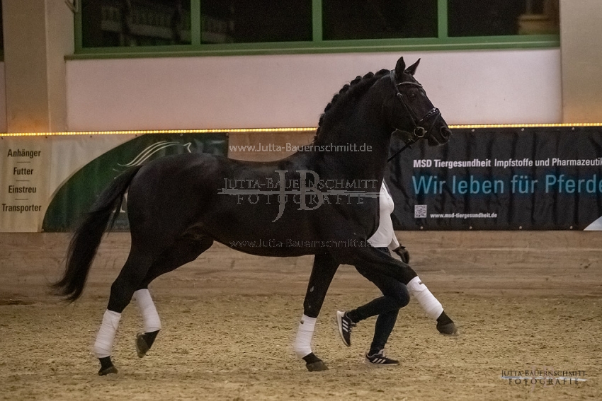 Preview 20-ByHS-Hibiskus_JB_02915.jpg