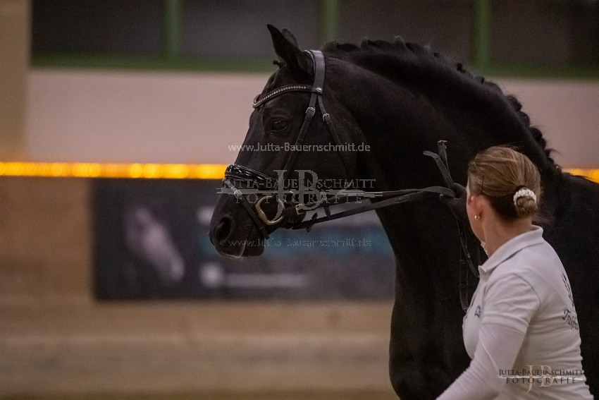 Preview 20-ByHS-Hibiskus_JB_02929.jpg