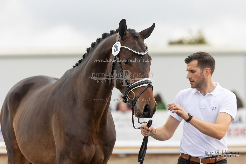 Preview 21-THM-GH-Augenblick_JB_36415.jpg