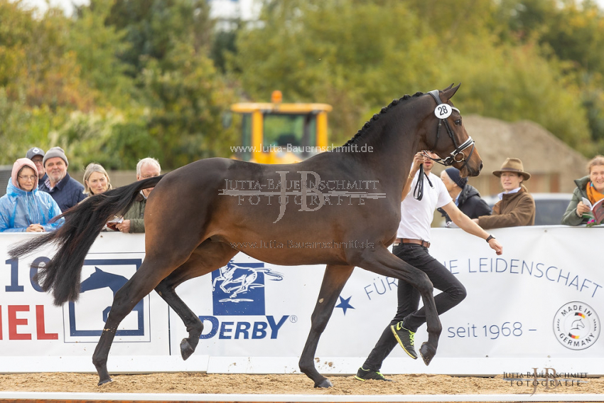 Preview 21-THM-GH-Augenblick_JB_36427.jpg