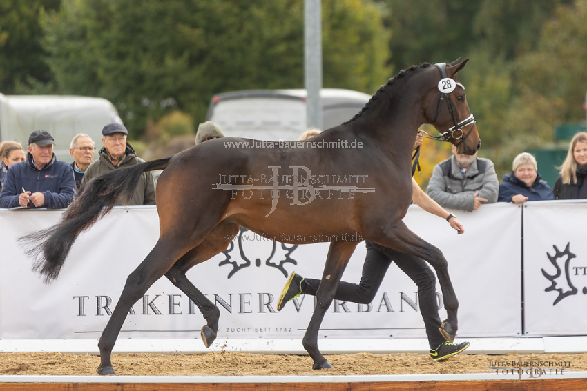 Preview 21-THM-GH-Augenblick_JB_36432.jpg