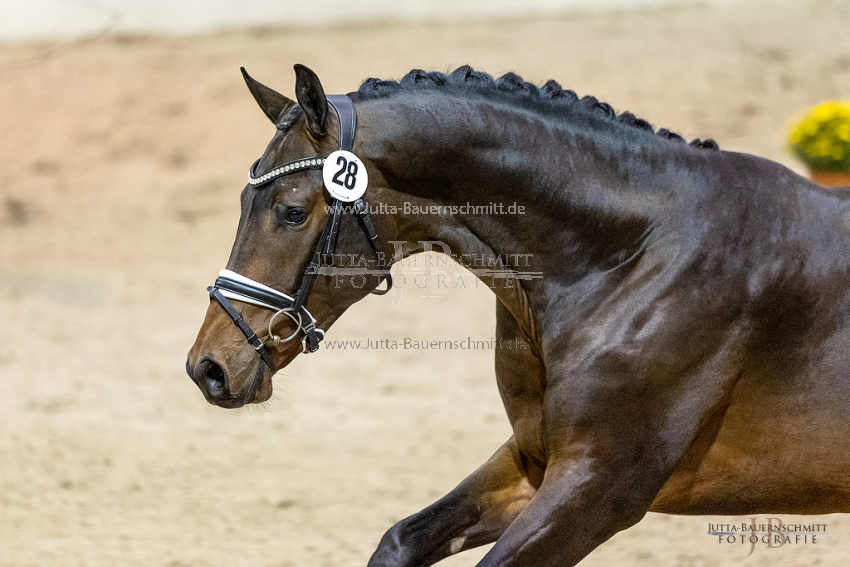 Preview 21-THM-GH-Augenblick_JB_41824.jpg