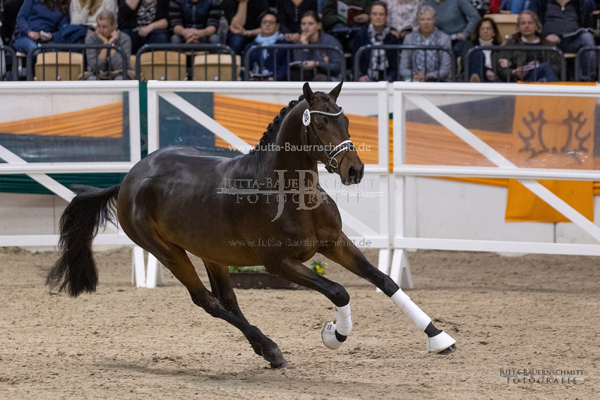 Preview 21-THM-GH-Augenblick_JB_41831.jpg