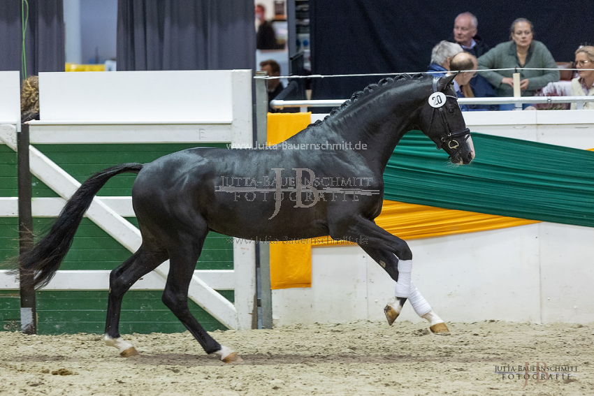 Preview 21-THM-GH-DeinErbe_JB_41662.jpg