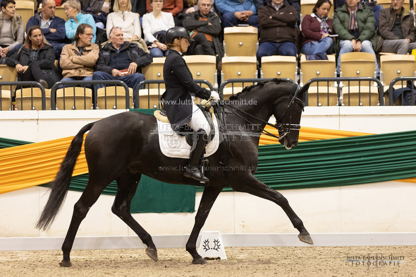 Preview 21-THM-TSF-EdwardG_JB_37486.jpg